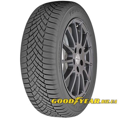 Toyo Observe EWS1 225/50 R17 98V XL