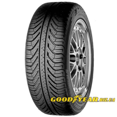 Michelin Pilot Sport A/S Plus 245/40 R17 91Y
