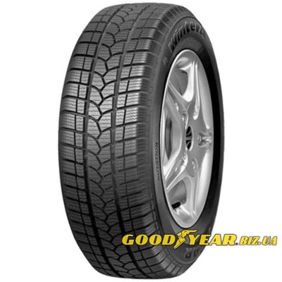 Tigar Winter1 175/70 R14 84T