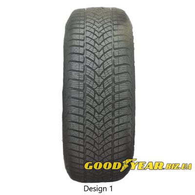 Voyager Winter 225/55 R16 95H