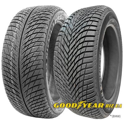 Michelin Pilot Alpin 5 265/30 R19 93W XL